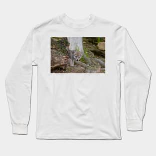 Arctic Wolf Pup Long Sleeve T-Shirt